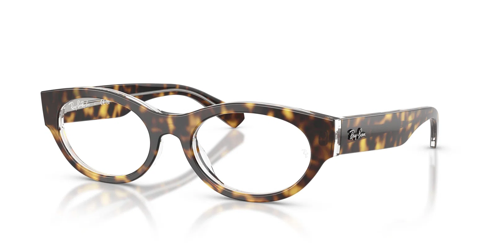 Ray-Ban 5447 Eyeglasses - view 44